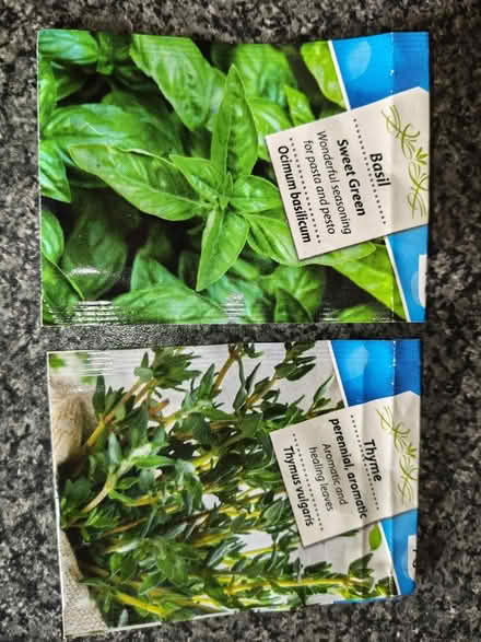 Photo of free Plants (Leadenhall MK6) #1