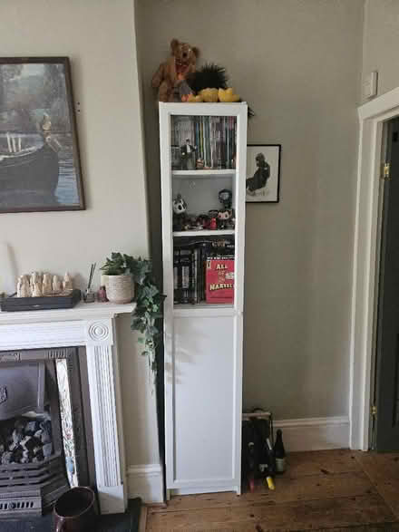 Photo of free IKEA billy bookcase with door (Ealing TW8) #1