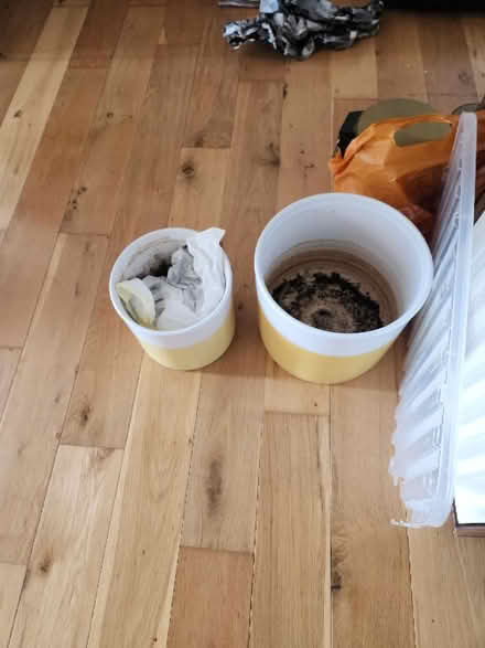 Photo of free x2 Plant Pots (PR9 0EA) #2