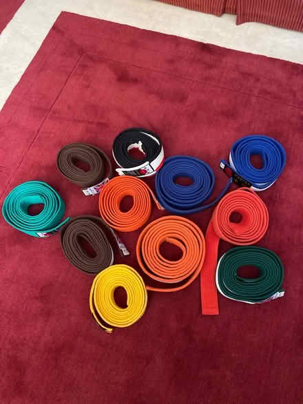 Photo of free Martial Arts belts (Crawley RH11) #1