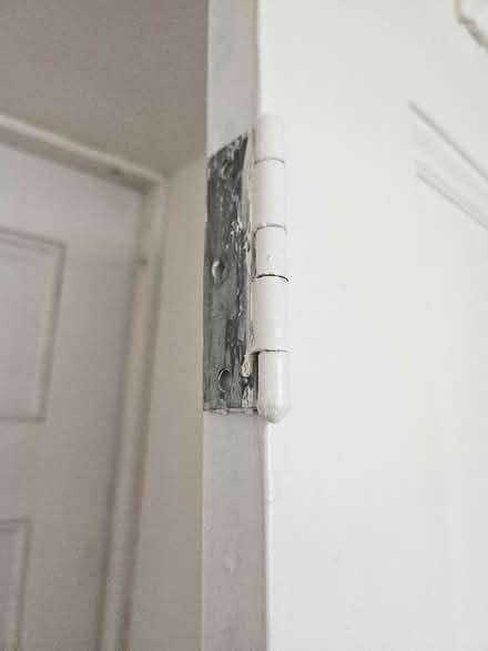 Photo of free Pine panelled cupboard door (London Fields) #3