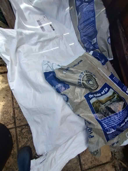 Photo of free 60L Used Plastic Sacks. (Burnham On Sea TA8) #1