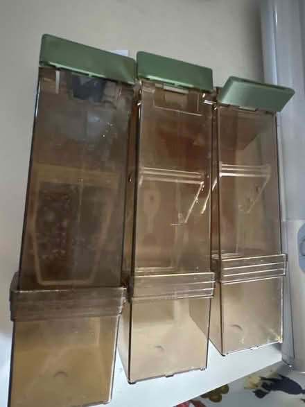 Photo of free 6 x humane mouse traps (Ashford TW15) #2