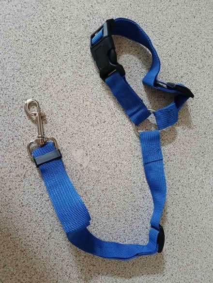 Photo of free Adjustable dog tether for car (Napsbury AL2) #1