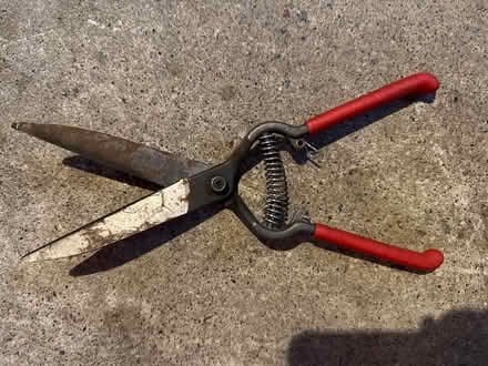 Photo of free Grass Shears (Terra Linda) #1