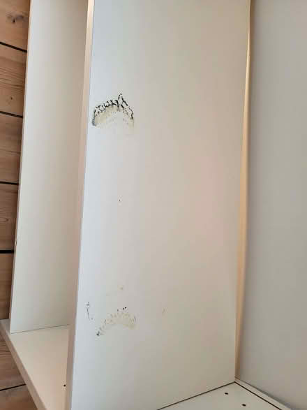 Photo of free White freestanding shelves (Lye Valley OX3) #1
