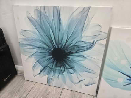 Photo of free 2 x blue flower prints (NN18) #3