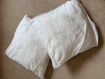 Photo of free Two Cushion Inserts (Macclesfield SK10) #1
