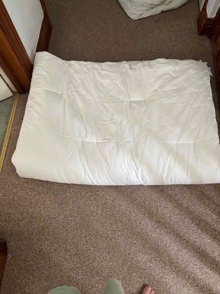 Photo of free Single Duvet Fogarty make (Hartford PE29) #1