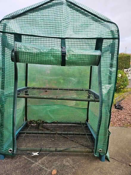 Photo of free Small green house (Colinton EH13) #3