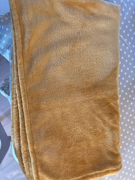 Photo of free Mustard throw (CM1 Broomfield) #1