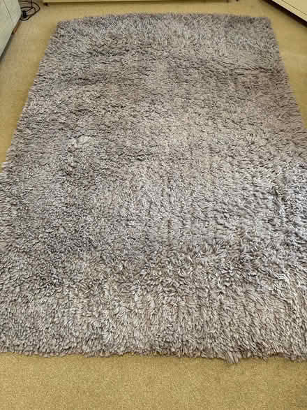 Photo of free NEXT rug (Liverpool L17) #1