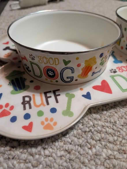 Photo of free Magnetic dog bowl set (Bowie) #4
