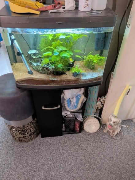 Photo of free Fish tank (Bilton Road CV22) #1