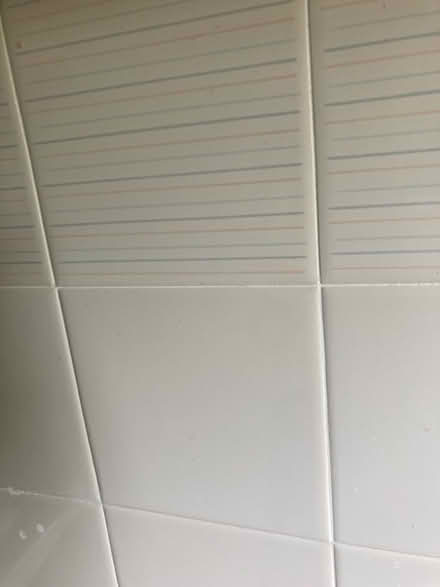 Photo of free Bathroom tiles (Chineham RG24) #1