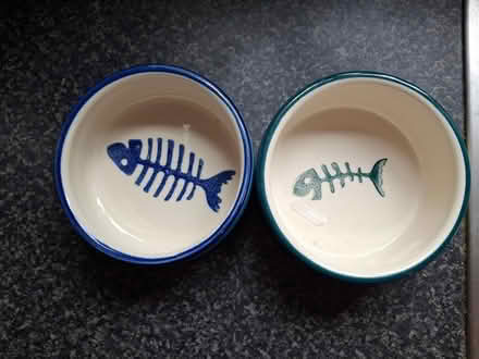 Photo of free Cat Bowls #4 (Murrow) #2