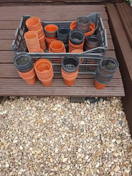 Photo of free Gardening (Stewkley) #2