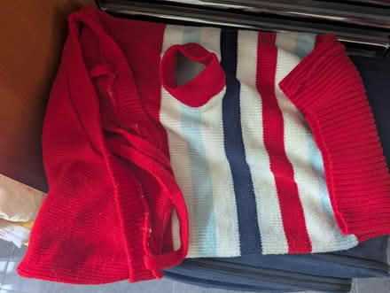 Photo of free Dog sweater, Shin pads, herbs (Wallington SM6) #2