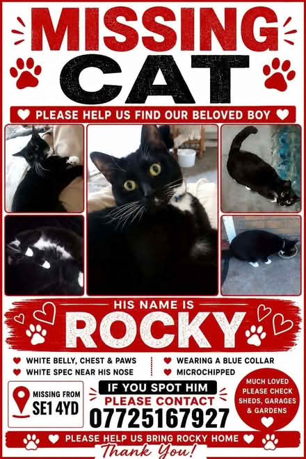 Photo of free Cat trap (Southwark SE1) #1