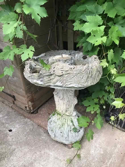 Photo of free Solid Concrete bird bath (Leigh-on-Sea SS9) #1