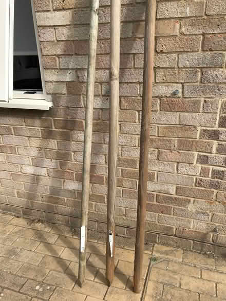 Photo of free Tree stakes (Kidlington OX5) #1