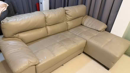 Photo of free Light brown Leather L-Shaped Sofa (Novena) #1