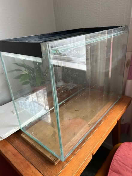 Photo of free Fish tank plus stand if (SK17 Chatsworth Road) #1