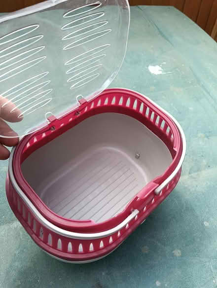 Photo of free Small pet carrier (Swindon SN2) #1