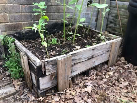 Photo of Raised beds (for sowing veg) (Woodley RG5) #2