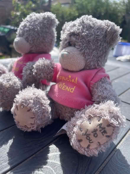 Photo of free 2 small forever friends teddies (BR6 Orpington / Chelsfield) #2