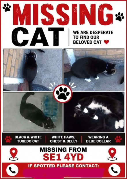 Photo of free Cat trap (Southwark SE1) #2