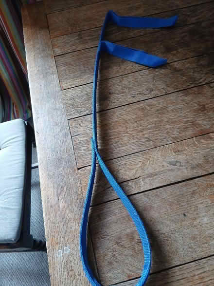 Photo of free Aid for lifting leg/foot into egg bed (Welwyn AL6) #1