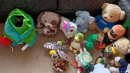 Photo of free Loads of Soft Toys (Totteridge HW HP13) #1