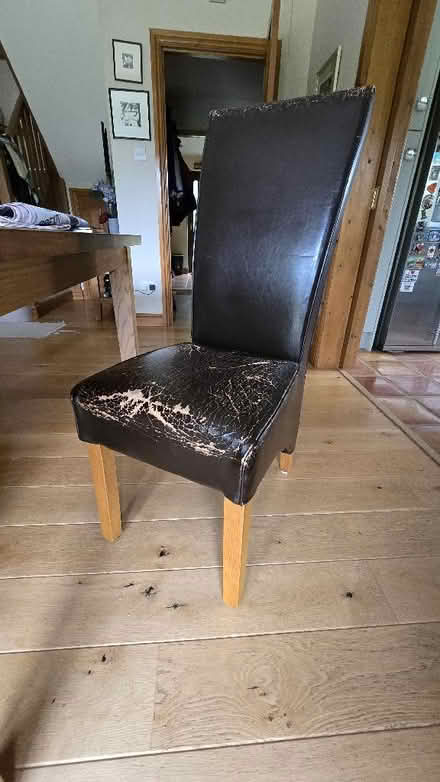 Photo of free 6 x faux leather diningroom chairs (Llanyre LD1) #1