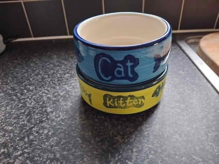 Photo of free Cat Bowls #4 (Murrow) #1