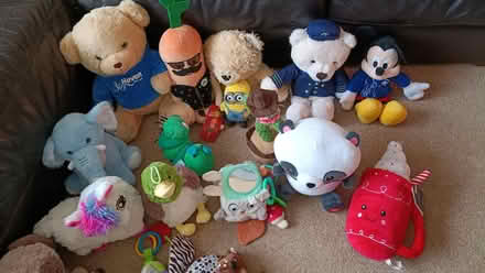 Photo of free Loads of Soft Toys (Totteridge HW HP13) #2