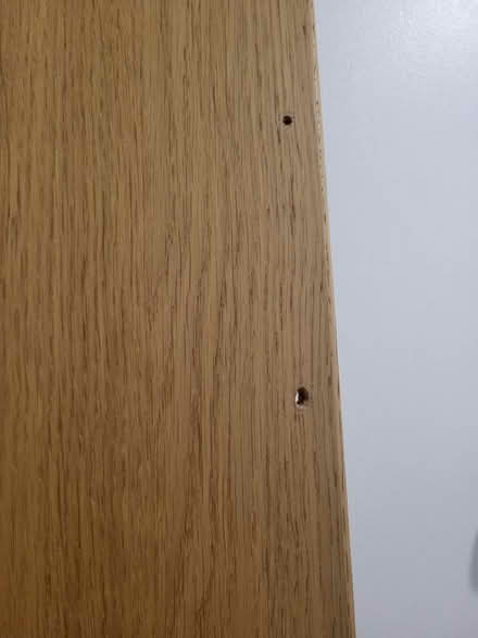 Photo of free IKEA Pax Wardrobe Door (Matlock DE4) #4