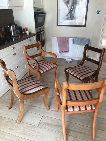Photo of free 4 dining room chairs (Galleywood, Chelmsford CM28NL) #1