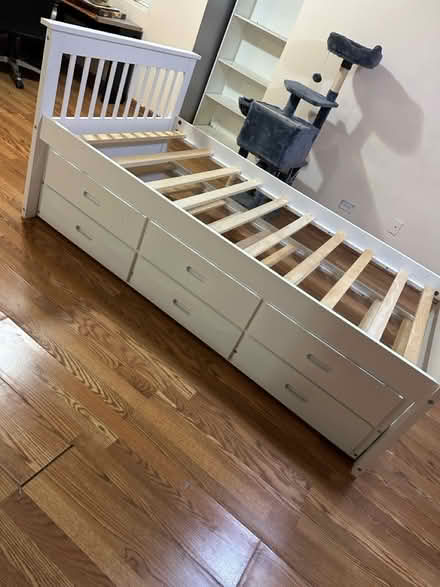 Photo of free must take all at no exceptions (Palos Hills 60465) #4