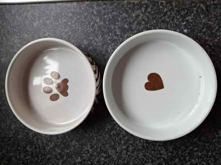 Photo of free Cat Bowls #2 (Murrow) #2