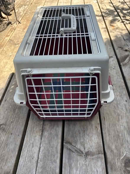 Photo of free Cat Basket (Leigh-on-Sea SS9) #1