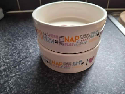 Photo of free Cat Bowls #3 (Murrow) #1