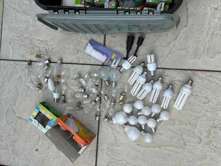 Photo of free Light Bulbs various (Beckley BH23) #2