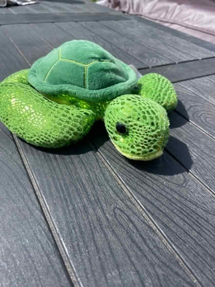 Photo of free Turtle soft toy (BR6 Orpington / Chelsfield) #1
