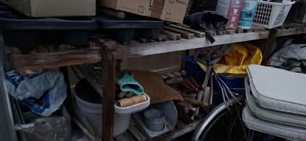 Photo of free Greenhouse (Harrogate HG1) #4