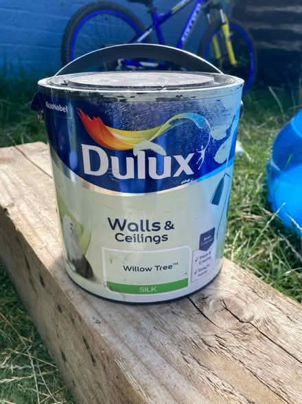 Photo of free Willow tree pale green paint (Keynsham) #1