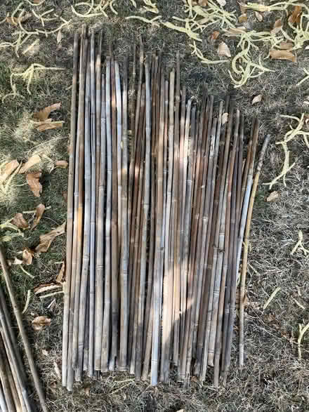 Photo of free Used bamboo garden canes (Horsell GU21) #2
