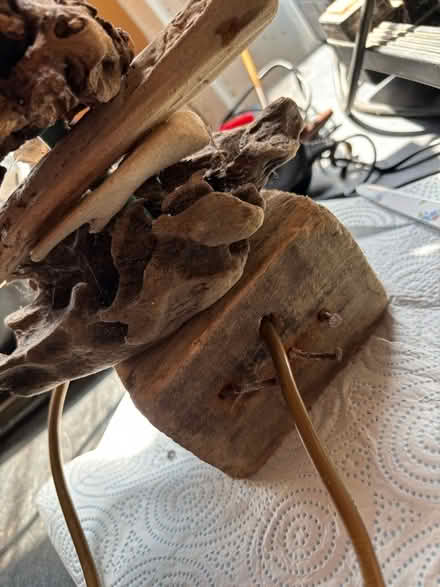 Photo of free Home made driftwood light (Far Bletchley MK3) #3