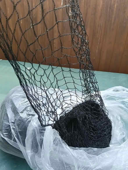 Photo of free Netting (Swindon SN2) #1