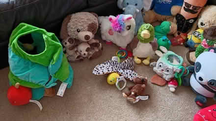 Photo of free Loads of Soft Toys (Totteridge HW HP13) #4